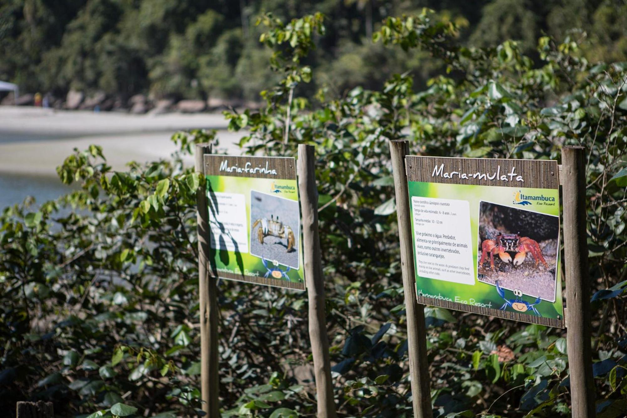 Itamambuca Eco Resort Убатуба Экстерьер фото